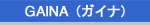 GAINA�i�K�C�i�j