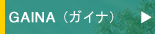 �h��f�M��GAINA�i�K�C�i�j
