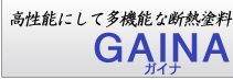 �f�M�h��GAINA�i�K�C�i�j
