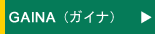 �h��f�M��GAINA�i�K�C�i�j